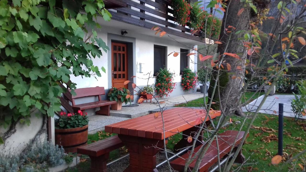 בוהין Apartma Pr Gatej מראה חיצוני תמונה